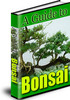 Thumbnail Bonsai