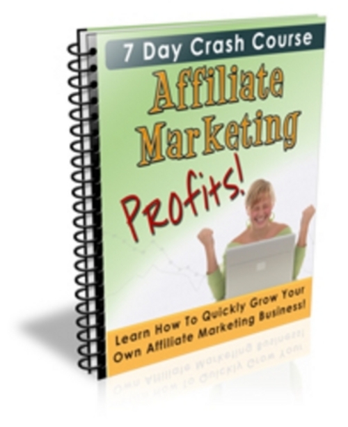 Product picture Affiliate Marketing Profits  Course 