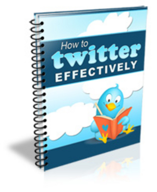 Product picture  The Twitter Factor PLR Articles